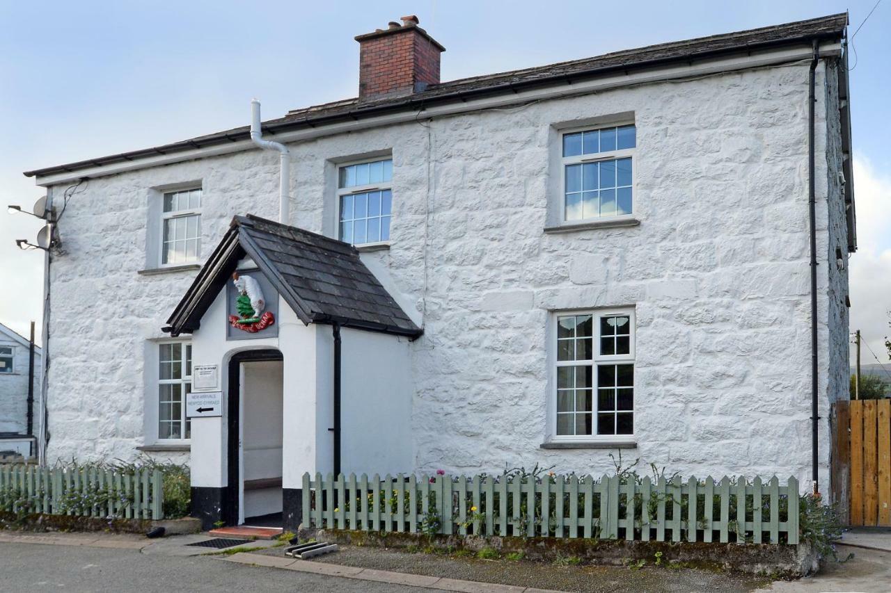 Bwch Yn Uchaf B&B Llanuwchllyn Eksteriør bilde